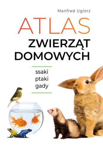 5f3fa0972582aa6d5d416a18ee7d84e8