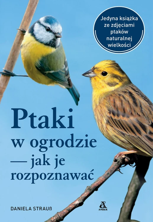 015984e4cef70ca8a74c33880525c6cb