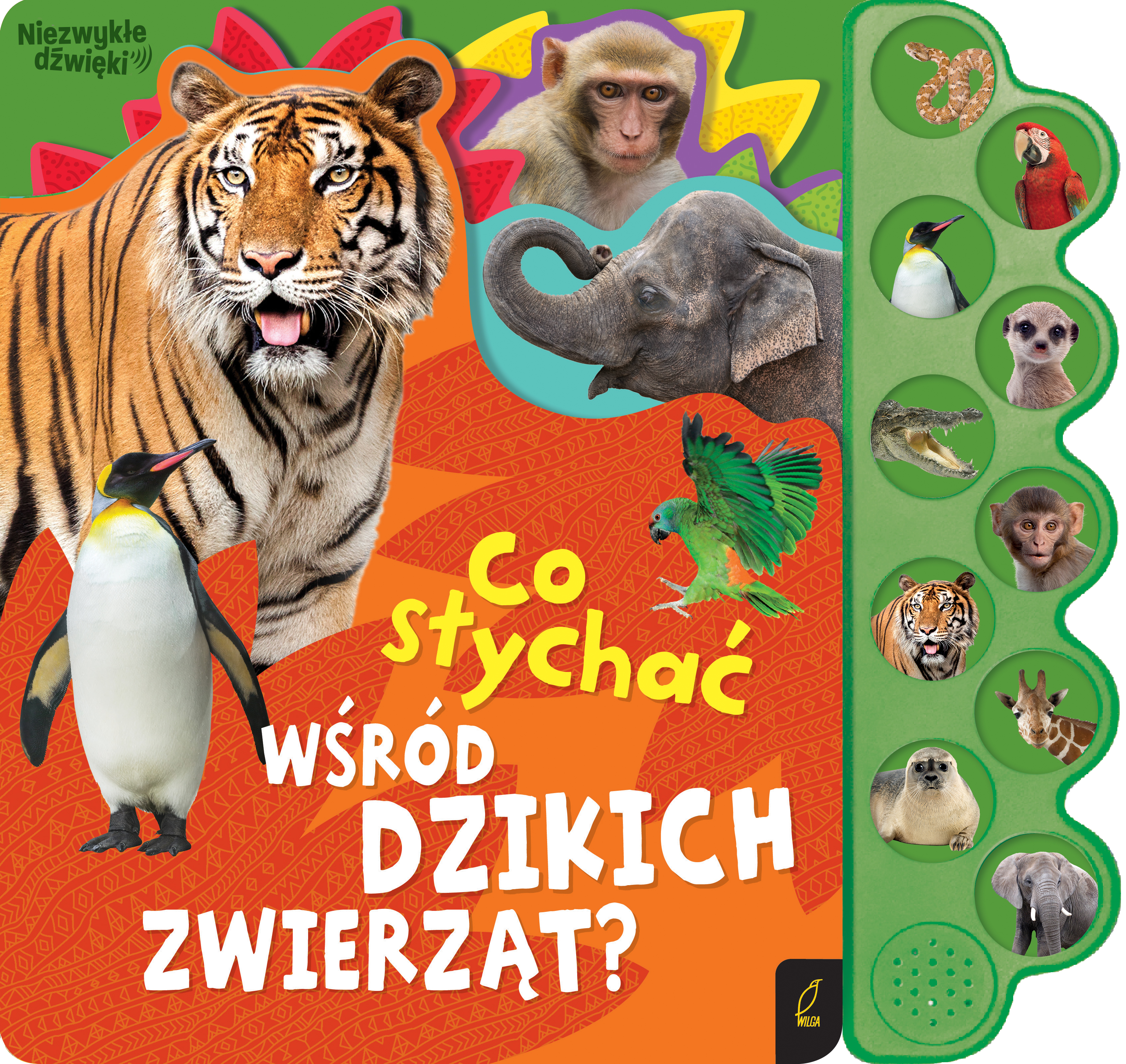 9a13761c99dd5b658394095456e76360