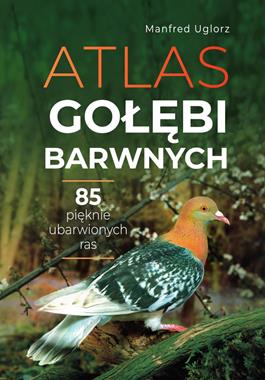 9788383481777
