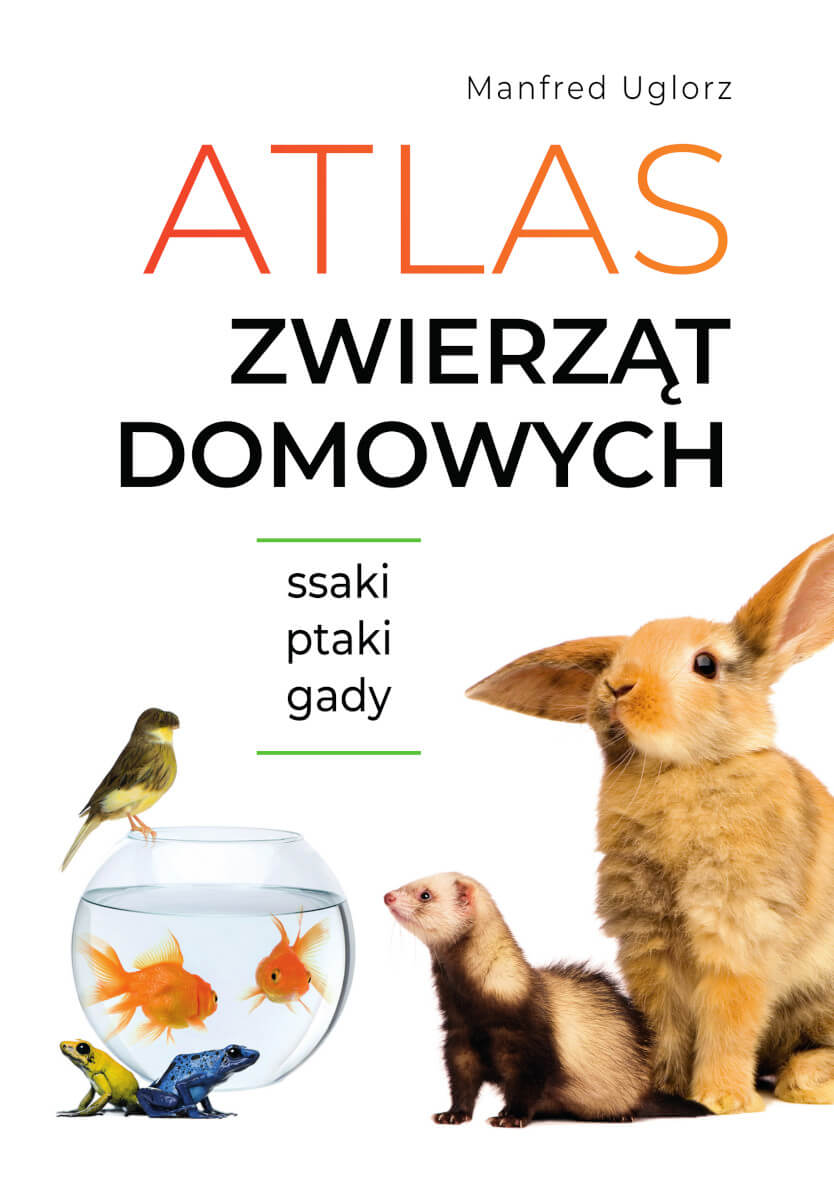 5f3fa0972582aa6d5d416a18ee7d84e8